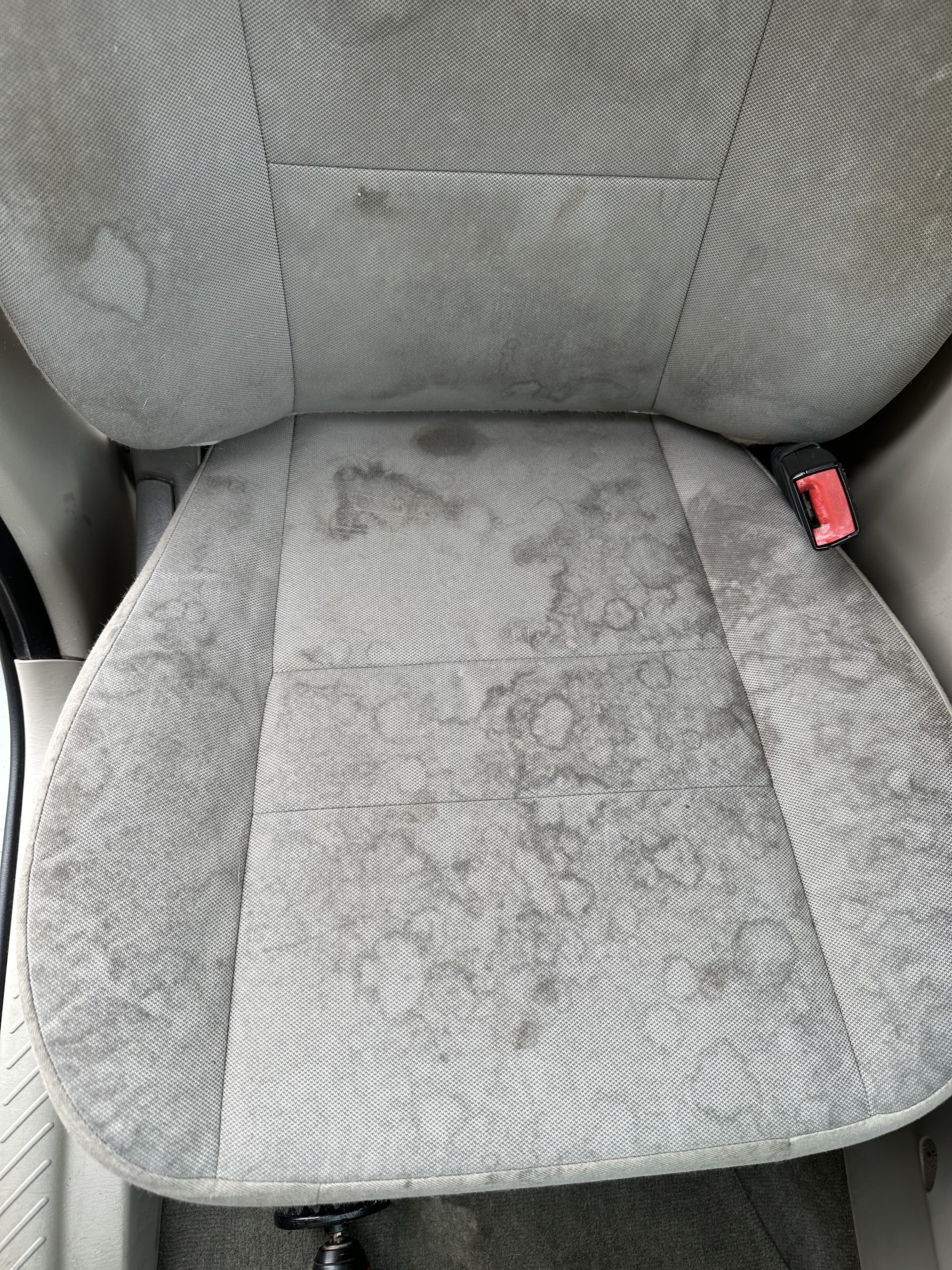 Car Seat Before Cleaning
